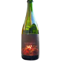 Floodland Brewing Selves Collapse (2024)