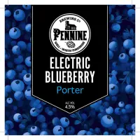 Pennine Brewing Co. Electric Blueberry