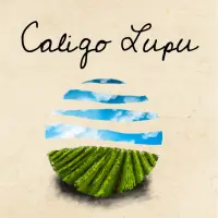 HenkeBier Caligo Lupu