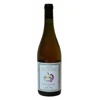 Seidir Tydecho Llyn Afalau 2024