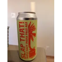 Boiler Brewing Company Slap That!