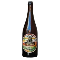 Holíčsky Pivovar Wywar Riwaka 13°