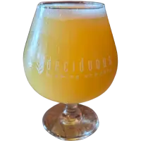 Deciduous Brewing Company Playing In The Shadows 22