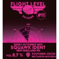 Flight Level Brewing Squawk Ident #11 Sierra November Mike