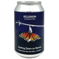 Ascension Cider Eclosion - Looking Down on Storms