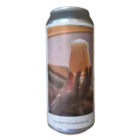 Evil Twin Brewing Our Most Popular Pale Ale