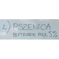 Wrowar Brewing Beztroskie Pole
