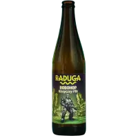 Raduga Robohop