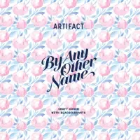 Artifact Cider Project By Any Other Name