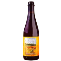 Sante Adairius Rustic Ales Down Slope