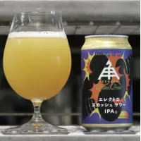Ise Kadoya Electro Squash Sour IPA