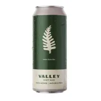 Valley Craft Ales For Wilmington, With Love