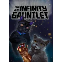 Midnight Project The Infinity Gauntlet