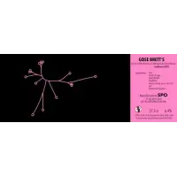 SPO Gose Brett's (2020)
