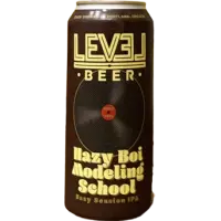 Level Beer Hazy Boi Modeling School