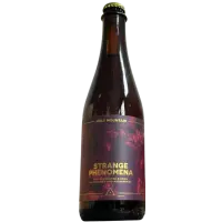 Holy Mountain Brewing Company Strange Phenomena