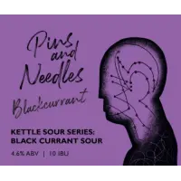 Black Kite Brewery 黑鳶 Pins & Needles Blackcurrant