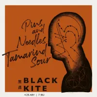 Black Kite Brewery 黑鳶 Pins & Needles Tamarind Sour