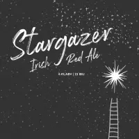 Black Kite Brewery 黑鳶 Stargazer - Irish Red Ale