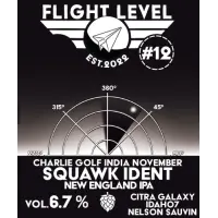 Flight Level Brewing Squawk Ident #12 Charlie Golf India November
