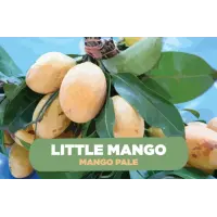 New Invention Brewery Little Mango
