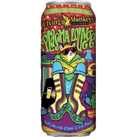 Flying Monkeys Plasma Lounge