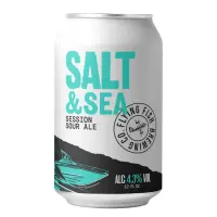 Flying Fish Brewing Company Salt And Sea