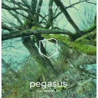 černý potoka Pegasus