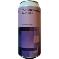 Bådin The Future is Purple
