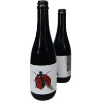 Kings & Daughters Ladybird
