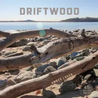 Coastal Mass. Brewing Driftwood