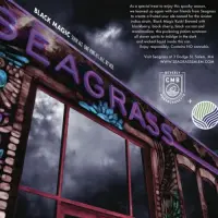 Coastal Mass. Brewing Seagrass: Black Magic