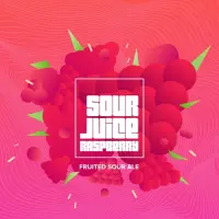 Brew Fiction Sour Juice: Raspberry