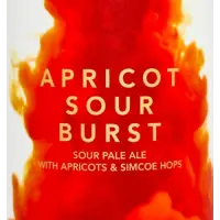 UnBarred Brewery Apricot Sour Burst
