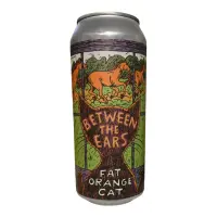 Fat Orange Cat Brew Company Between the Ears
