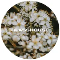 Glasshouse Beer Co Small Beginnings