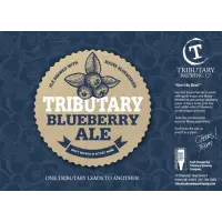 Tributary Brewing Company Blueberry Ale