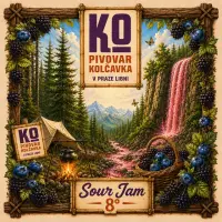 Pivovar Kolčavka Sour Jam 8°