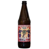 Double Mountain Brewery & Cidery Wondertwins IPA