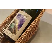 Brasserie Cantillon Génépi