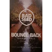 Bad Seed Brewery Bounce Back