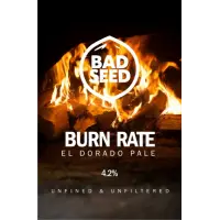 Bad Seed Brewery Burn Rate