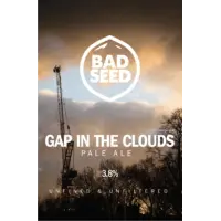 Bad Seed Brewery Gap in the Clouds