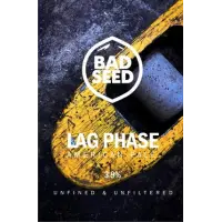 Bad Seed Brewery Lag Phase