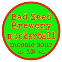 Bad Seed Brewery Puckerball
