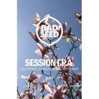 Bad Seed Brewery Session IPA - Calypso Cascade El Dorado