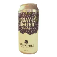 Back Hill Beer Company Today is Better - Blackberry
