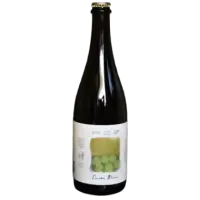 Four Winds Brewing Saison Blanc