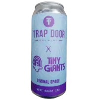 Trap Door Brewing Liminal Space