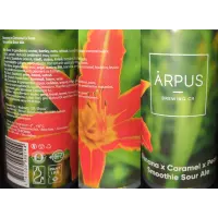Ārpus Brewing Co. Banana X Caramel X Pear Smoothie Sour